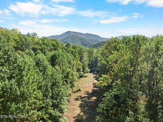 PAR 033.01 South Highway 32, Cosby, TN 37722
