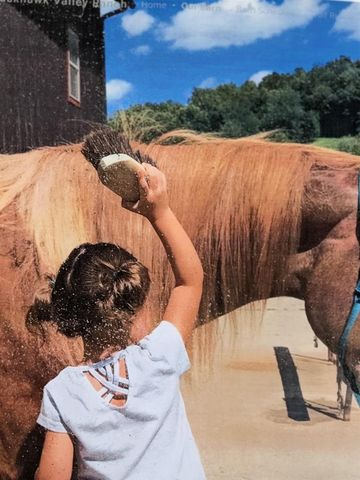 6604 Shower Road, Mazomanie, WI 53560