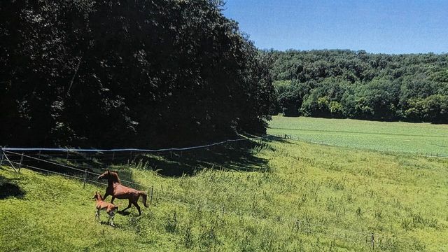 6604 Shower Road, Mazomanie, WI 53560