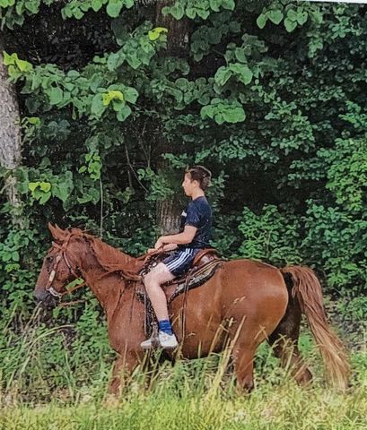 6604 Shower Road, Mazomanie, WI 53560