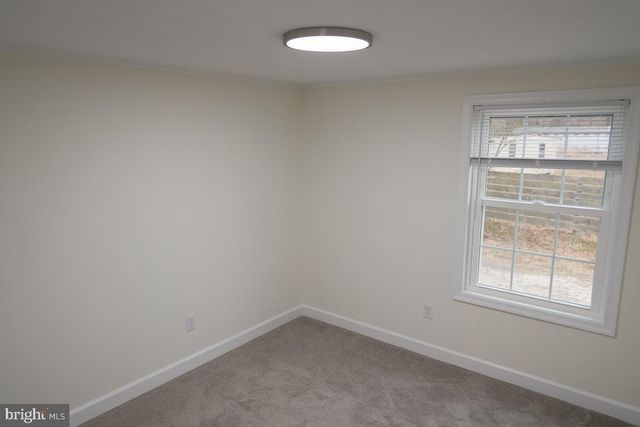 16449 POLK RD, Bridgeville, DE 19933