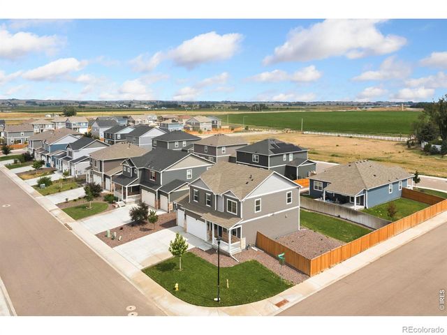 3713 Catmint Street, Wellington, CO 80549