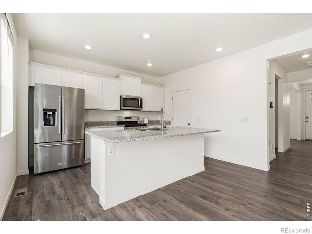 3713 Catmint Street, Wellington, CO 80549