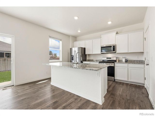 3713 Catmint Street, Wellington, CO 80549