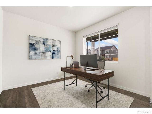 3713 Catmint Street, Wellington, CO 80549