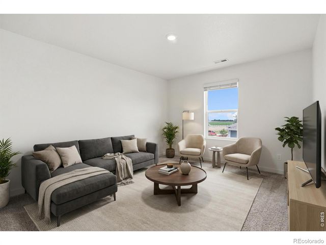 3713 Catmint Street, Wellington, CO 80549