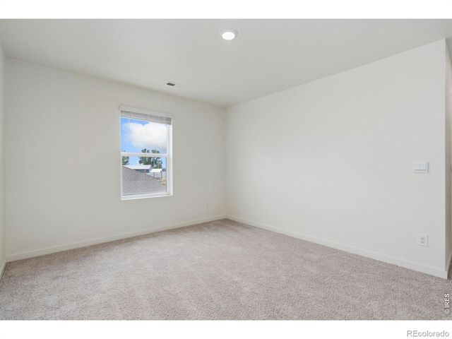 3713 Catmint Street, Wellington, CO 80549
