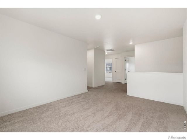 3713 Catmint Street, Wellington, CO 80549