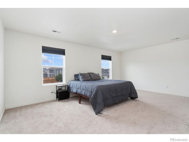 3713 Catmint Street, Wellington, CO 80549