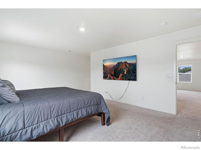 3713 Catmint Street, Wellington, CO 80549