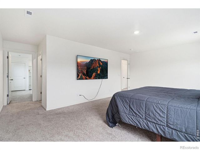 3713 Catmint Street, Wellington, CO 80549