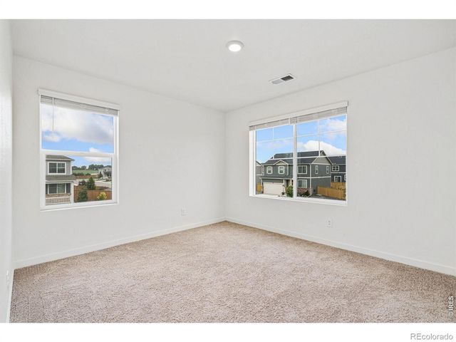 3713 Catmint Street, Wellington, CO 80549