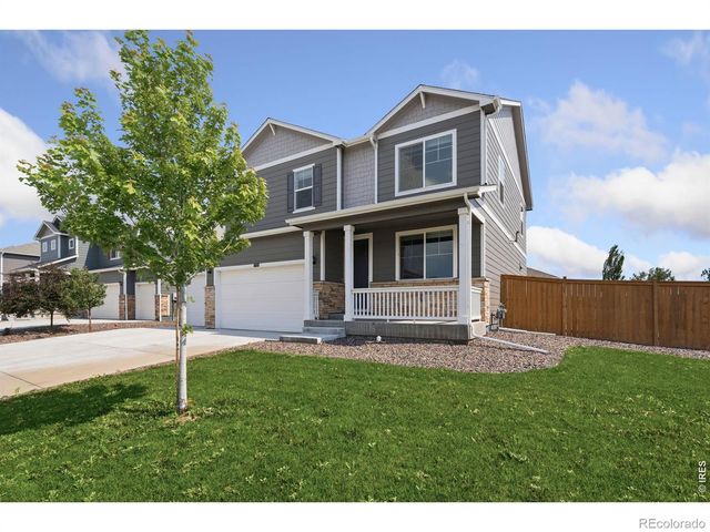 3713 Catmint Street, Wellington, CO 80549