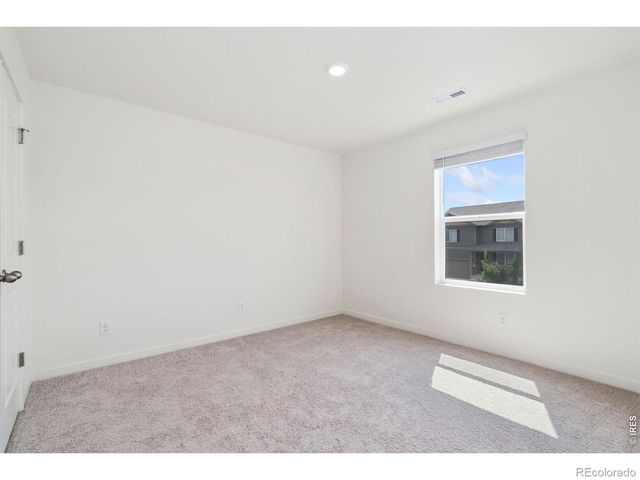 3713 Catmint Street, Wellington, CO 80549