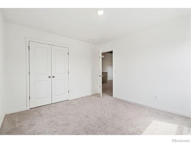3713 Catmint Street, Wellington, CO 80549