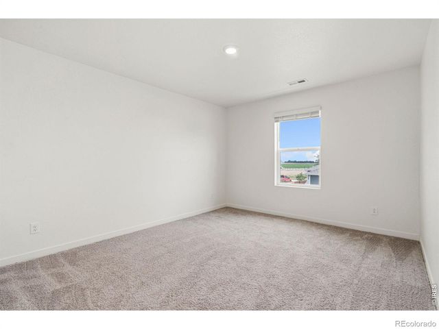 3713 Catmint Street, Wellington, CO 80549