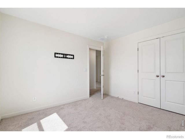 3713 Catmint Street, Wellington, CO 80549