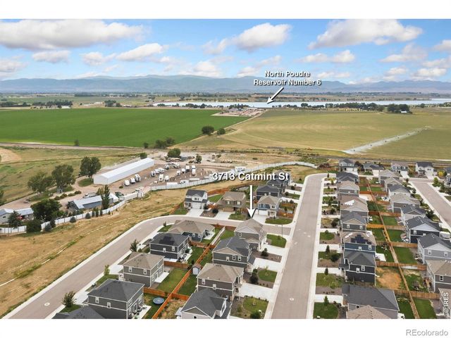 3713 Catmint Street, Wellington, CO 80549