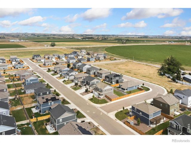 3713 Catmint Street, Wellington, CO 80549