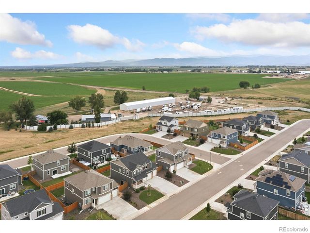 3713 Catmint Street, Wellington, CO 80549