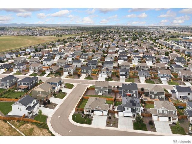 3713 Catmint Street, Wellington, CO 80549