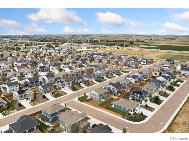 3713 Catmint Street, Wellington, CO 80549