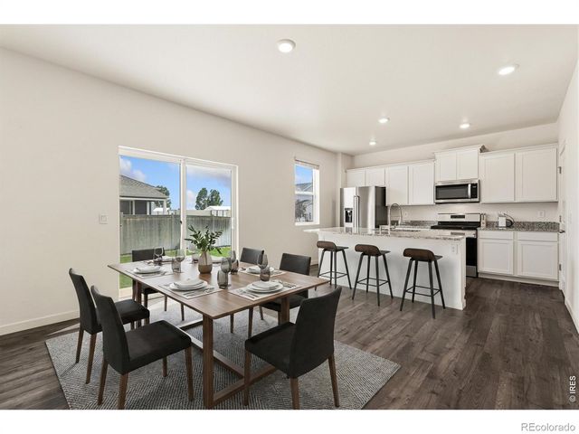 3713 Catmint Street, Wellington, CO 80549
