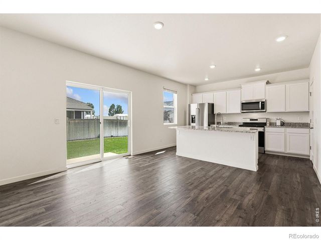 3713 Catmint Street, Wellington, CO 80549
