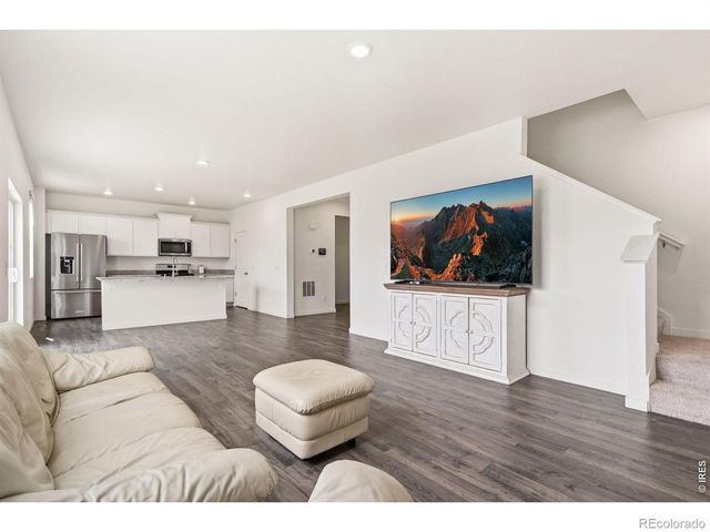 3713 Catmint Street, Wellington, CO 80549