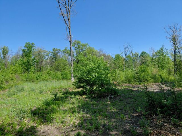 3751 E Townline Lake Road, Harrison, MI 48625