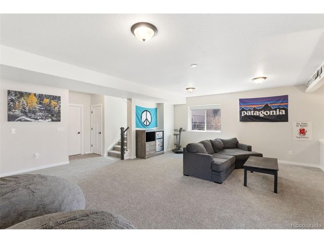 16668 Hallmark Trl, Monument, CO 80132