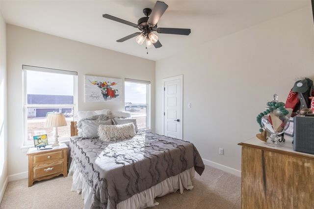 169 Pine Springs Cove, Tuscola, TX 79562