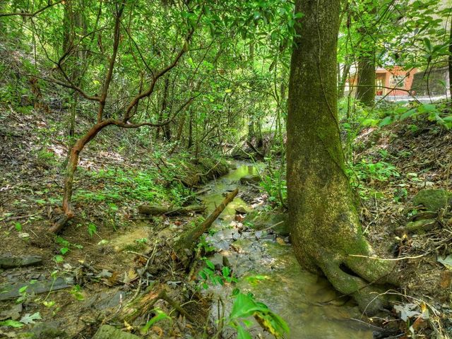 46 Private Drive, Ellijay, GA 30536