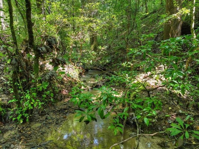 46 Private Drive, Ellijay, GA 30536