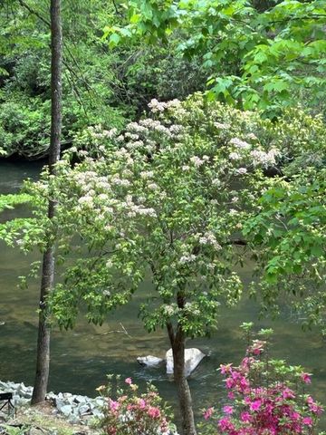 46 Private Drive, Ellijay, GA 30536