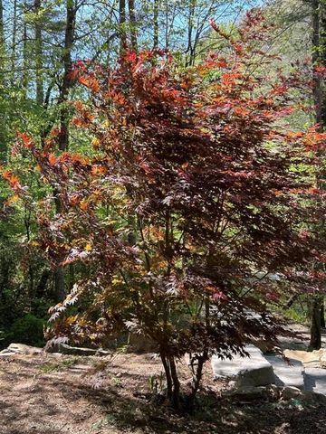 46 Private Drive, Ellijay, GA 30536