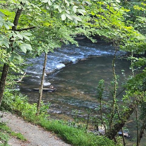 46 Private Drive, Ellijay, GA 30536