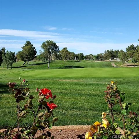 26660 Lakeview, Helendale, CA 92342
