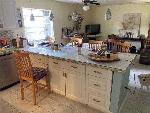 11317 SYLVAN GREEN LANE, Riverview, FL 33569