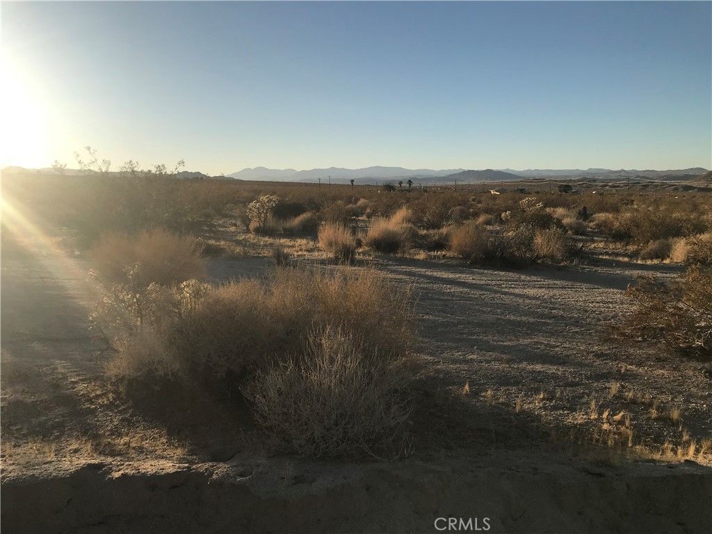 Image 7 of property listing at 0 Dorth, 29 Palms, CA 92277