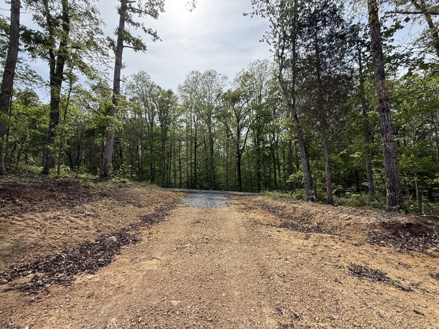 3047 Hwy 231, Erin, TN 37061