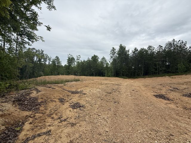 3047 Hwy 231, Erin, TN 37061