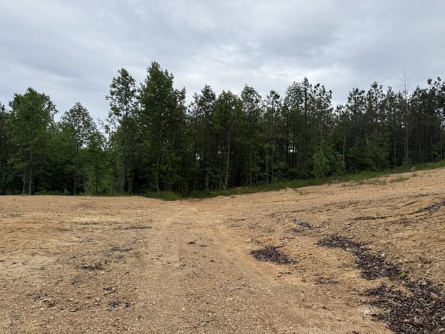 3047 Hwy 231, Erin, TN 37061