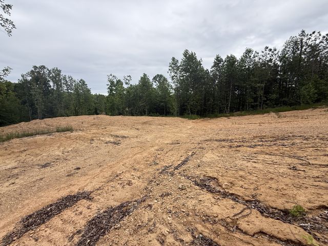 3047 Hwy 231, Erin, TN 37061