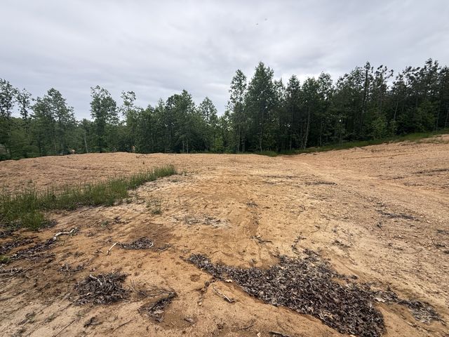 3047 Hwy 231, Erin, TN 37061