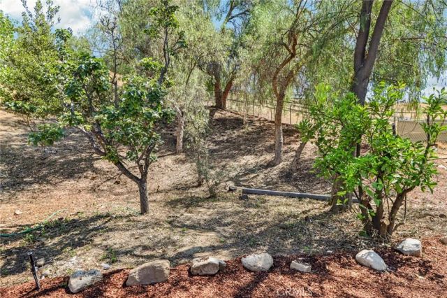 11060 Vanda Way, Shadow Hills, CA 91352