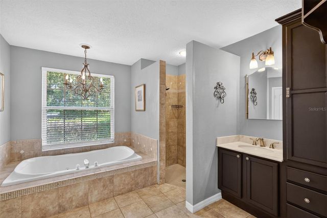 11424 VIA DE RENEE PL, Clermont, FL 34711