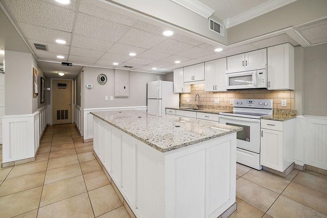 101 N GRANDVIEW STREET 203, Mount Dora, FL 32757
