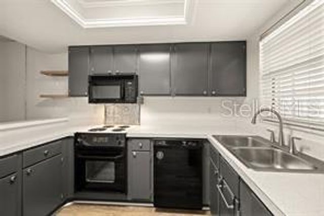 101 N GRANDVIEW STREET 203, Mount Dora, FL 32757