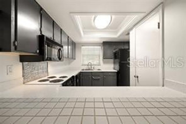 101 N GRANDVIEW STREET 203, Mount Dora, FL 32757